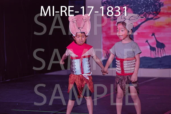 MI-RE-17-1831.jpg