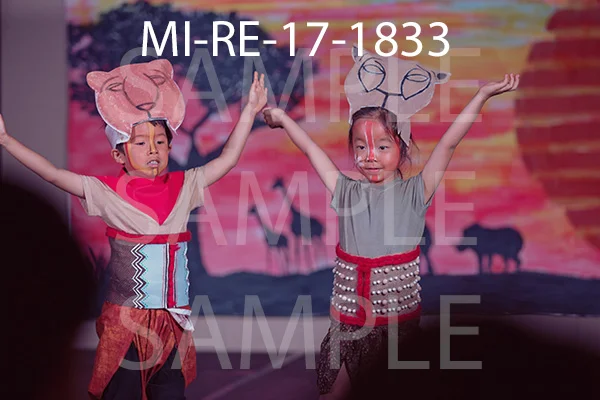 MI-RE-17-1833.jpg