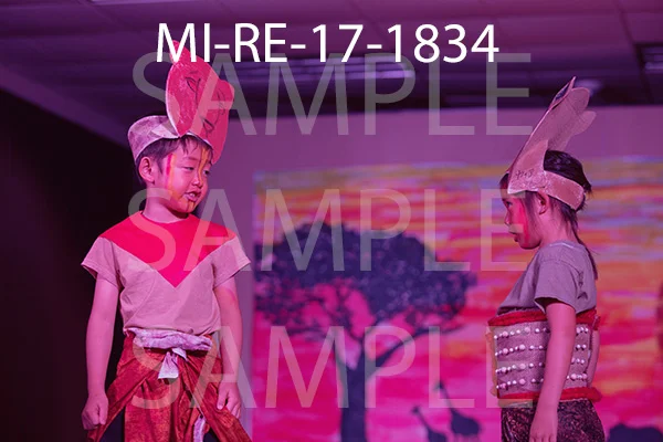 MI-RE-17-1834.jpg