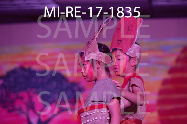 MI-RE-17-1835.jpg