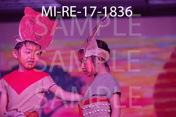 MI-RE-17-1836.jpg