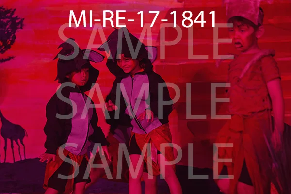 MI-RE-17-1841.jpg