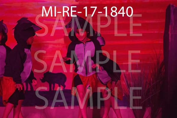MI-RE-17-1840.jpg