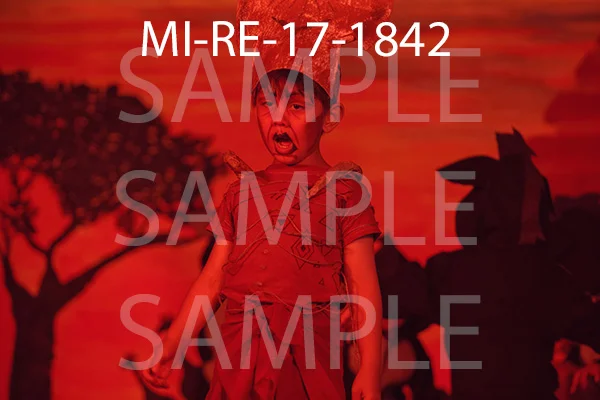 MI-RE-17-1842.jpg