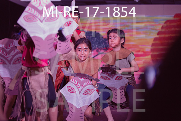 MI-RE-17-1854.jpg