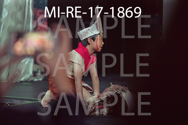 MI-RE-17-1869.jpg
