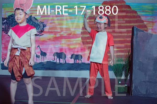 MI-RE-17-1880.jpg
