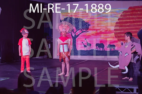MI-RE-17-1889.jpg
