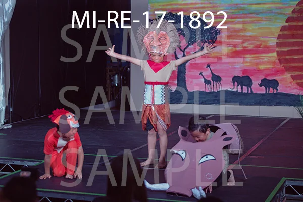 MI-RE-17-1892.jpg