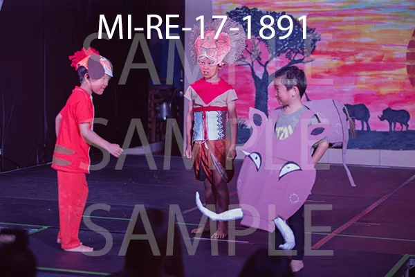 MI-RE-17-1891.jpg