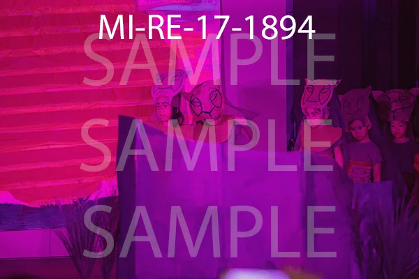 MI-RE-17-1894.jpg