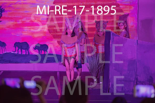 MI-RE-17-1895.jpg
