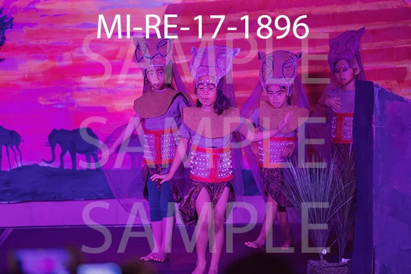 MI-RE-17-1896.jpg