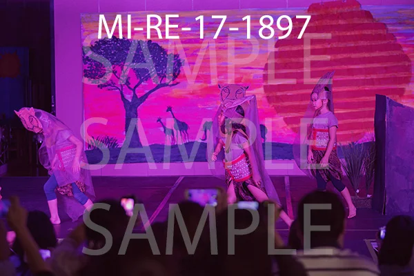 MI-RE-17-1897.jpg