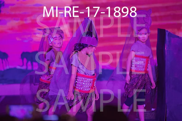 MI-RE-17-1898.jpg