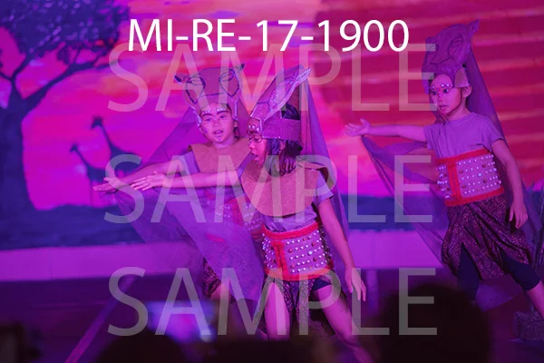 MI-RE-17-1900.jpg