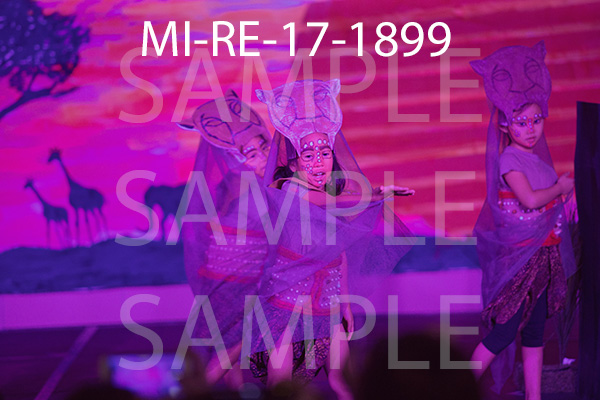 MI-RE-17-1899.jpg