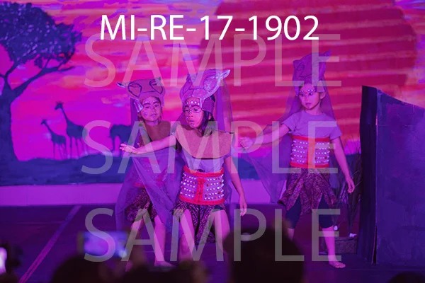 MI-RE-17-1902.jpg