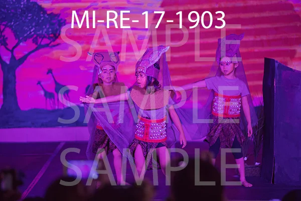 MI-RE-17-1903.jpg