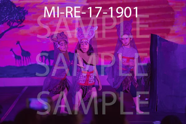 MI-RE-17-1901.jpg