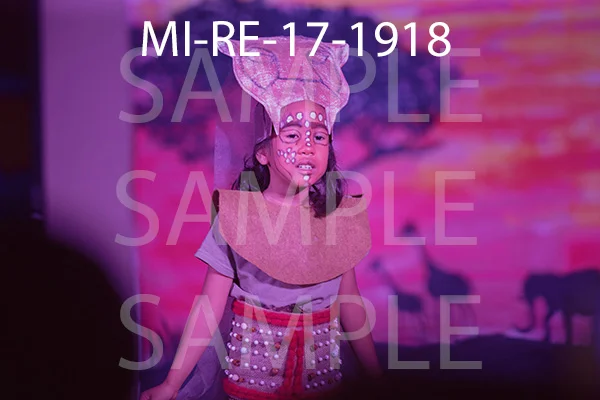 MI-RE-17-1918.jpg