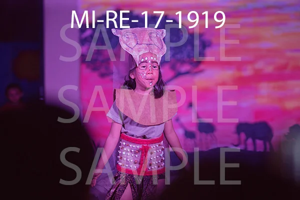 MI-RE-17-1919.jpg