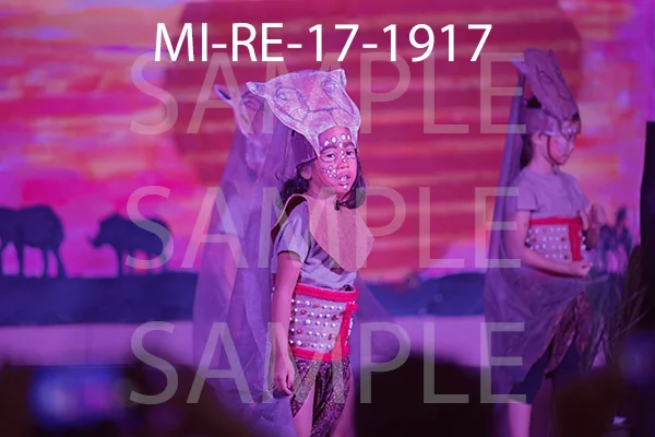 MI-RE-17-1917.jpg