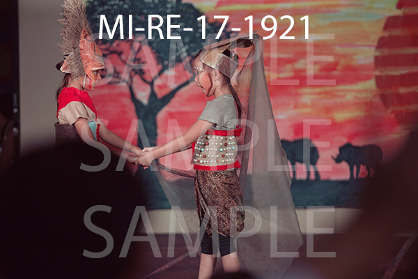 MI-RE-17-1921.jpg
