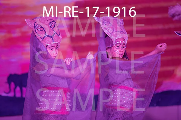 MI-RE-17-1916.jpg