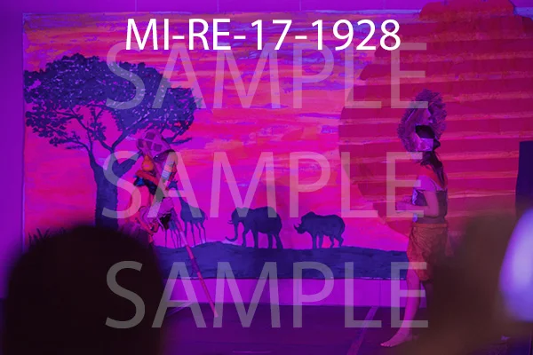 MI-RE-17-1928.jpg