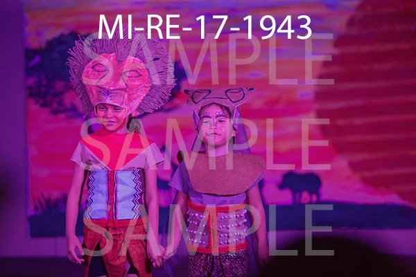MI-RE-17-1943.jpg