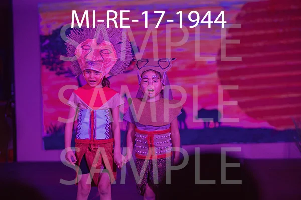 MI-RE-17-1944.jpg