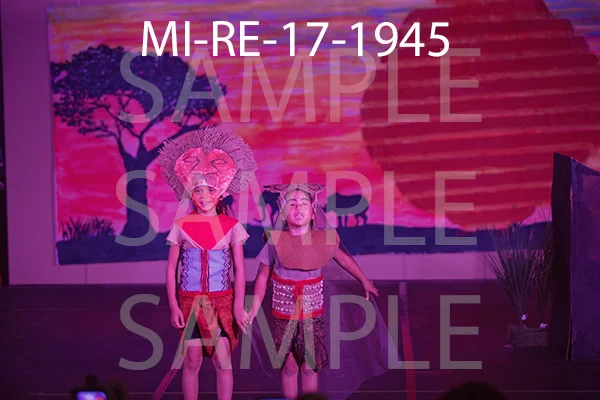MI-RE-17-1945.jpg