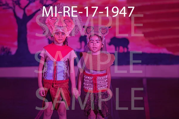 MI-RE-17-1947.jpg
