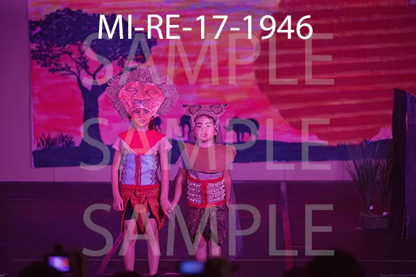 MI-RE-17-1946.jpg