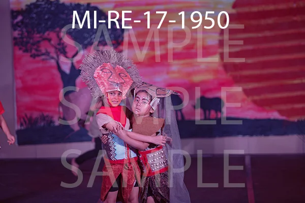 MI-RE-17-1950.jpg