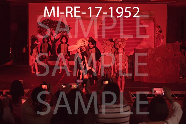 MI-RE-17-1952.jpg