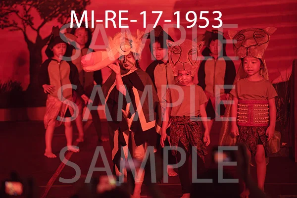 MI-RE-17-1953.jpg