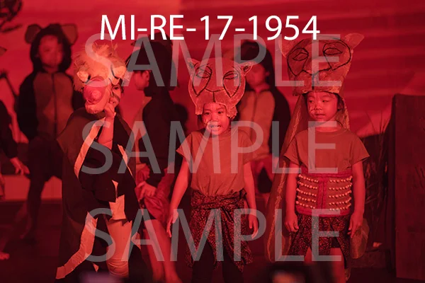 MI-RE-17-1954.jpg