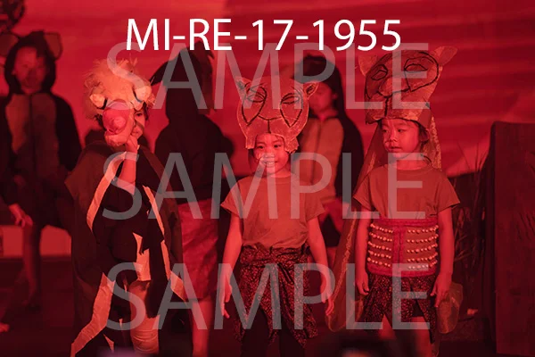MI-RE-17-1955.jpg