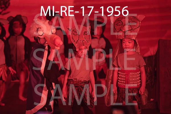 MI-RE-17-1956.jpg