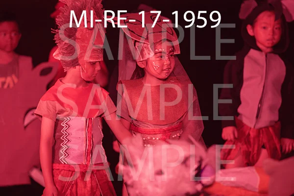 MI-RE-17-1959.jpg