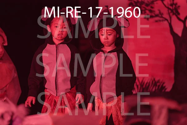 MI-RE-17-1960.jpg