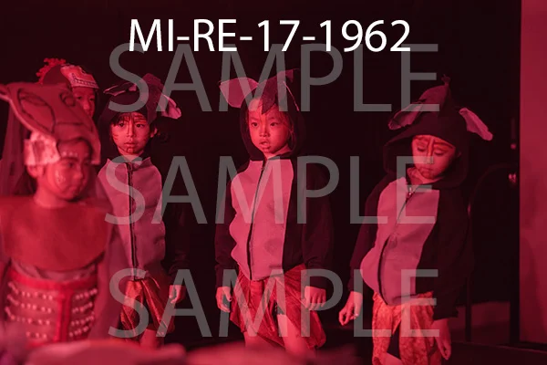 MI-RE-17-1962.jpg