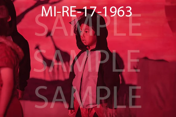 MI-RE-17-1963.jpg