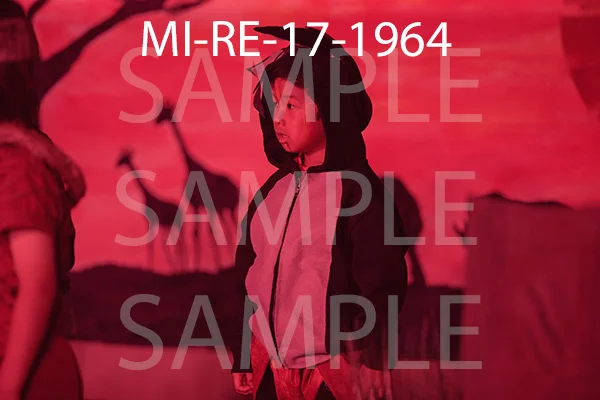 MI-RE-17-1964.jpg