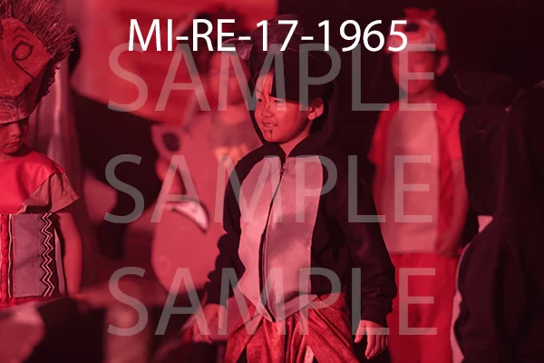 MI-RE-17-1965.jpg