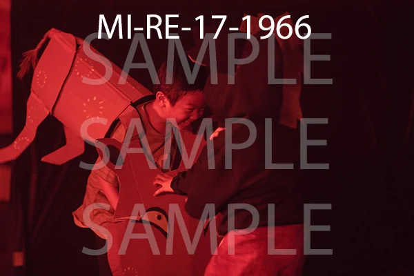 MI-RE-17-1966.jpg