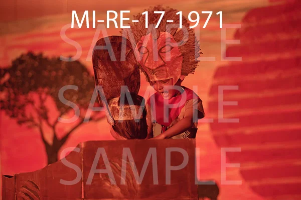 MI-RE-17-1971.jpg