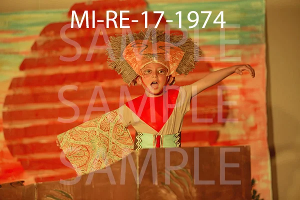 MI-RE-17-1974.jpg